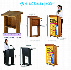 ���� ������